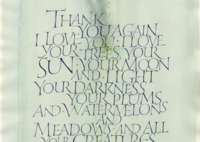 Calligraphy artworks| Alice Walker quote. Watercolor and ink on paper.