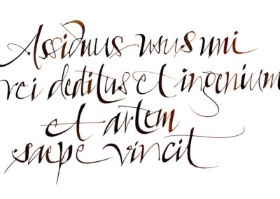 Constant practice devoted to one subject often outdoes both intelligence and skill” —Cicero