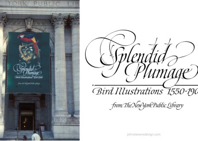 Splendid Plumage is a logo/title I created for an exhibition at the New York Public Library