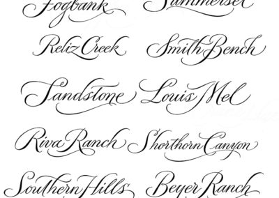 Hand lettered script titles for wine labels