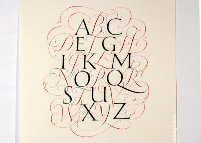 Calligraphy Hand Lettering commission of an alphabet by John Stevens
