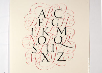 Calligraphy Hand Lettering commission of an alphabet by John Stevens