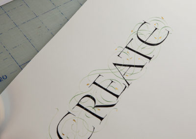 The word "Create". Written calligraphy by John Stevens